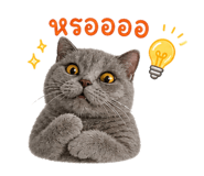 865092235
