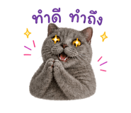 865092238