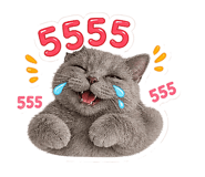 865092245