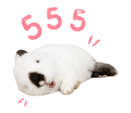 865092464