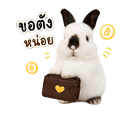 865092465