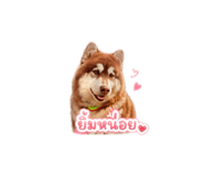 865092802