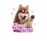 865092805