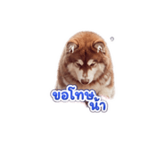 865092807
