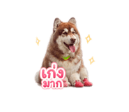 865092809