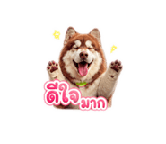 865092812