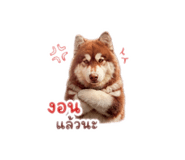 865092813