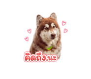 865092814