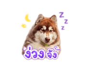 865092816