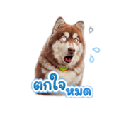 865092817