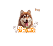 865092819