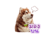865092820