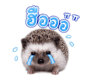 865093002
