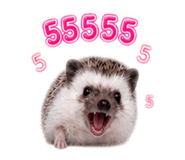 865093012