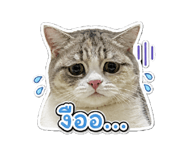 865093230