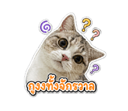 865093233