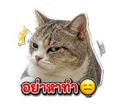 865093235
