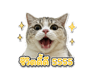 865093237