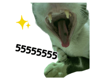 865093675