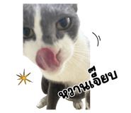 865093678