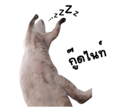 865093692