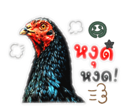 865093772