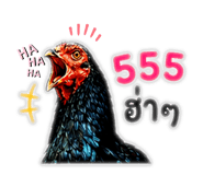 865093773
