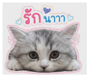 865093817