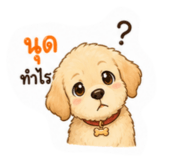 865093978