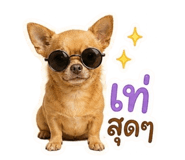 865094144