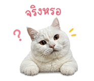 865094585