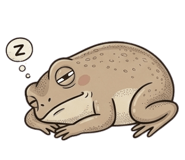865094994
