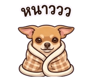 865095221