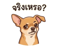 865095231