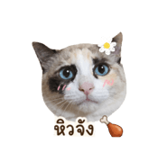865095233