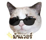 865095235