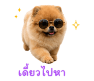 865096156