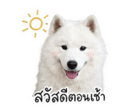 865096889
