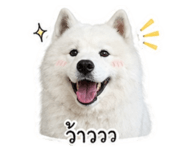 865096890