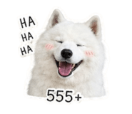 865096896