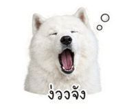 865096898