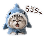 865097065