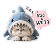 865097068