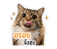 865097182
