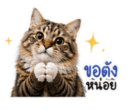 865097191