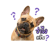 865097232
