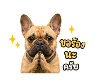 865097234