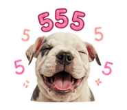 865097760