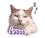 865098162