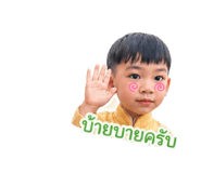 865098447
